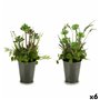 Plante décorative Fleurs Campagne Plastique 20 x 41 x 20 cm (6 Unités)