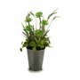 Plante décorative Fleurs Campagne Plastique 20 x 41 x 20 cm (6 Unités)