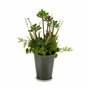 Plante décorative Fleurs Campagne Plastique 20 x 41 x 20 cm (6 Unités)