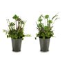 Plante décorative Fleurs Campagne Plastique 20 x 41 x 20 cm (6 Unités)