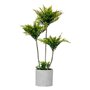 Plante décorative Palmier 20 x 70 x 20 cm Gris Ciment Vert Plastique (4 Unités)