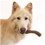 Jouet pour chien Nylabone Marron Beurre de cacahuètes XL