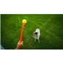 Lanceur de Balles pour Chiens Hunter