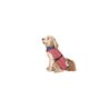 Imperméable pour Chien Dog Gone Smart Corail 30 cm