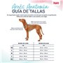 Harnais pour Chien Company of Animals Turquoise S 28-42 cm