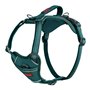 Harnais pour Chien Company of Animals Turquoise M 35-55 cm