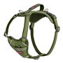 Harnais pour Chien Company of Animals Vert M 35-55 cm