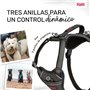 Harnais pour Chien Company of Animals Gris S 28-42 cm