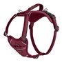 Harnais pour Chien Company of Animals Bordeaux S 28-42 cm