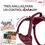 Harnais pour Chien Company of Animals Bordeaux XL 50-78 cm