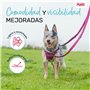 Laisse pour Chien Company of Animals Bordeaux L