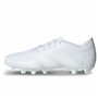 Chaussures de Football pour Adultes Adidas Predator Accuracy 4 Blanc