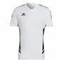 Maillot de Football à Manches Courtes pour Homme Adidas Con22 Blanc