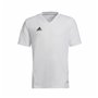 Maillot de Football à Manches Courtes pour Enfants Adidas Con22 Blanc