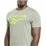 Chemisette Reebok Identity Big Logo Gris