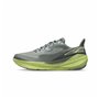Chaussures de Running pour Adultes Altra Experience Flow Gris