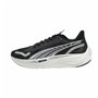 Chaussures de Running pour Adultes Puma Velocity Nitro 3