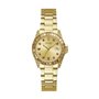 Montre Femme Guess OPALINE (Ø 34 mm)