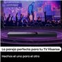 Haut-parleurs de PC Hisense Noir