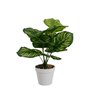 Plante décorative Polyéthylène Plastique Calathea 28 x 28 x 37 cm