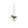 Plante décorative Polyéthylène Ciment 30 x 30 x 24 cm