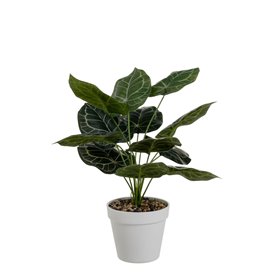 Plante décorative Polyéthylène Plastique 26 x 26 x 43 cm