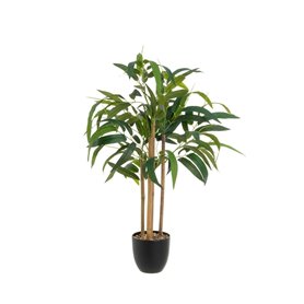 Plante décorative Polyester polypropylène Eucalyptus 61 x 61 x 80 cm