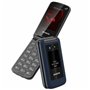 Téléphone portable pour personnes âgées Aiwa FP-30-4G/BL