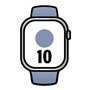 Montre intelligente Apple MWX43QL/A Gris 42 mm