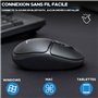 Souris Sans Fil - BLUESTORK - Office 25 - PC/MAC - Noir - Connexion 2.4 GHz - Autonomie Longue Durée