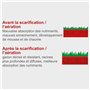Scarificateur électrique SC32 - 1500 W Largeur de travail 32 cm Bac de ramassage 30 L - SCHEPPACH