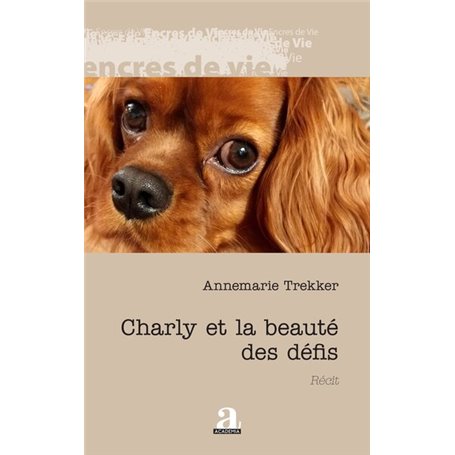 Charly et la beauté des défis