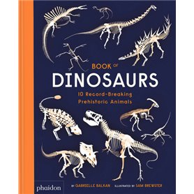 Book of Dinosaurs