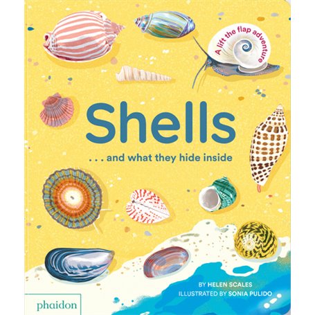 Shells... And What They Hide Inside !