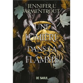 La Chair et le Feu (broché) - Tome 02 Une Lumière dans la flamme