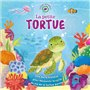 LA PETITE TORTUE