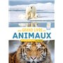 Mon grand livre des animaux - Un livre animé avec 150 vidéos + 1 poster géant