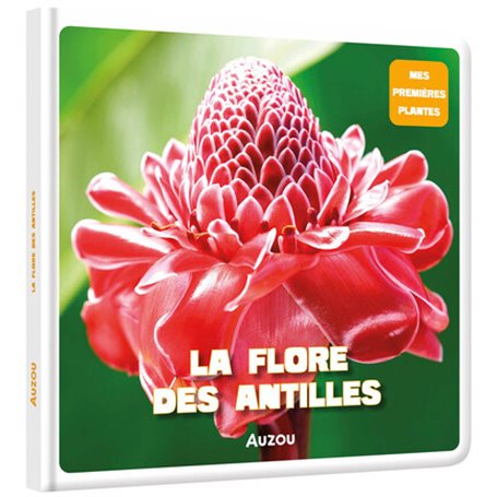 La flore des Antilles