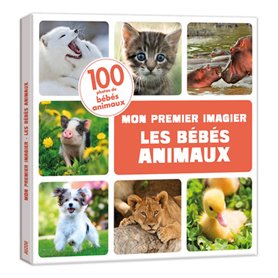 Mon premier imagier - Les bébés animaux 100 photos