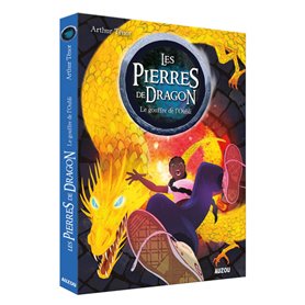 LES PIERRES DE DRAGON - Tome 2 LE GOUFFRE DE L'OUBLI