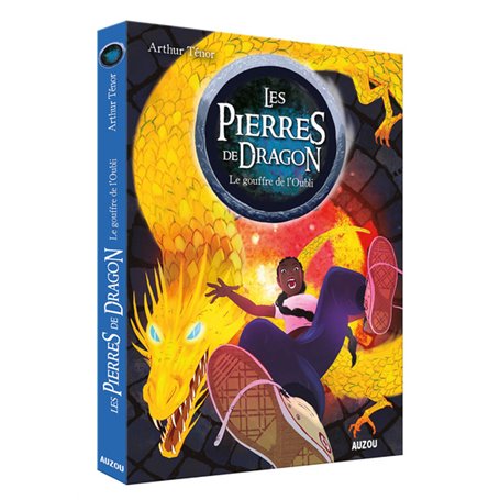 LES PIERRES DE DRAGON - Tome 2 LE GOUFFRE DE L'OUBLI