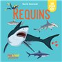 Saisissants pop-up - Requins