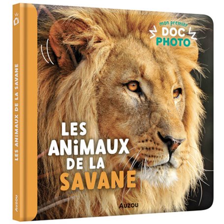 Mon premier doc photo - Les animaux de la savane