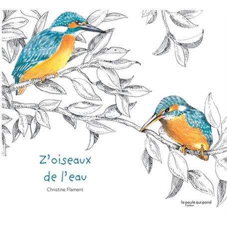 Z'oiseaux de l'eau