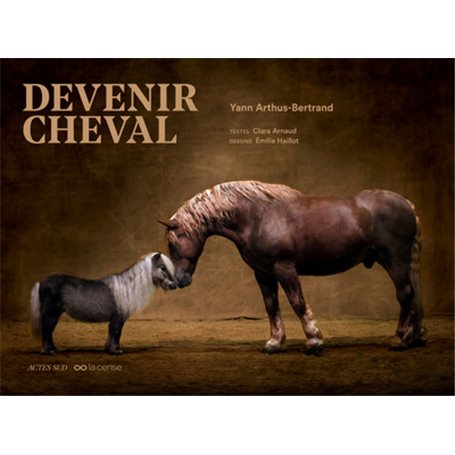 Devenir cheval