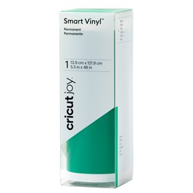 Sèche-cheveux Cricut 2009839 Vert