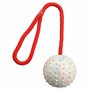 Jouet pour chien Trixie Caoutchouc Ø 7 × 30 CM
