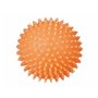 Jouet pour chien Trixie Ballon