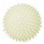 Jouet pour chien Trixie Ballon