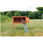 Rampe portable Trixie 20 × 50 CM